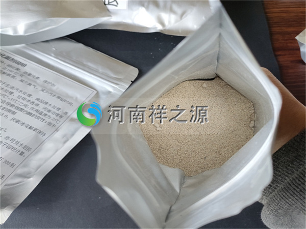 �������Ͷ����